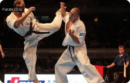 правила судейства рефери на соревнованиях по Шинкиокушинкай каратэ правила судейства рефери на соревнованиях по Шинкиокушинкай каратэ